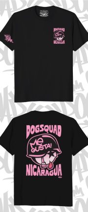💣 DS Nicaragua