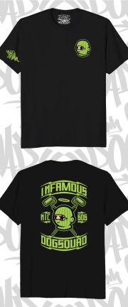 💣 Infamous