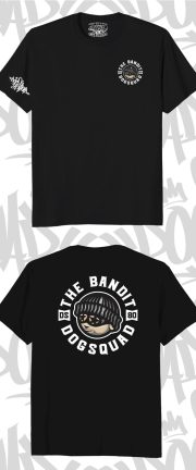 💣 The Bandit