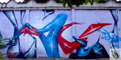 nkdog11_5265014379_z