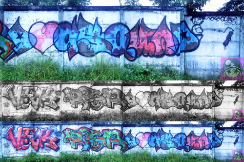 veckrerdog6_5262682248_l